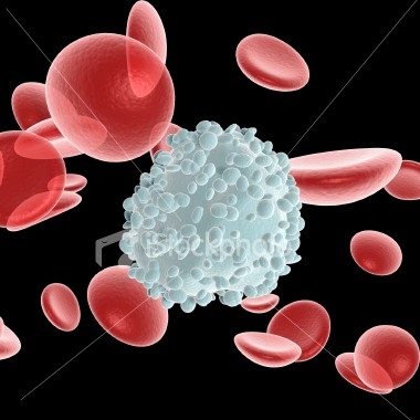 cells.jpg
