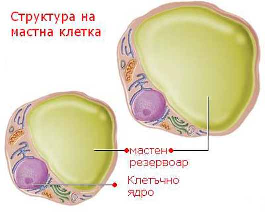 belchohristovcom147.jpg