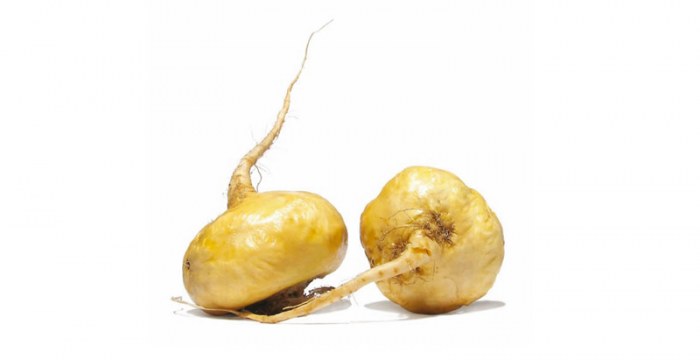 Корен мака | Maca root – състав, калории, рецепти и приложение в диетите
