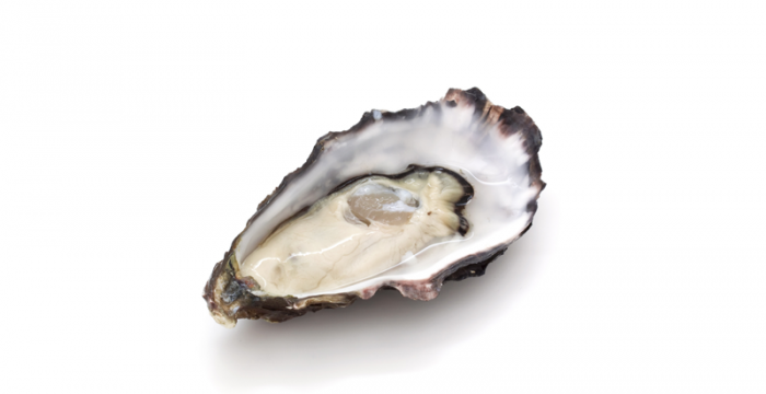 Стрида | Oyster – състав, калории, рецепти и приложение в диетите