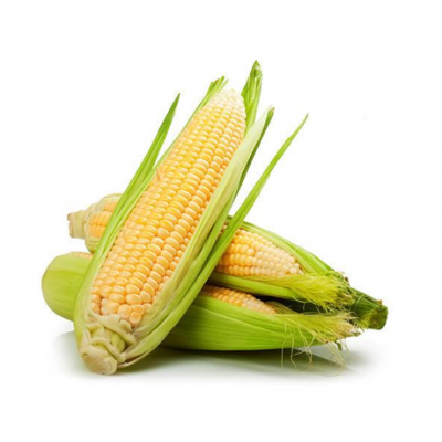 Царевица | Corn – състав, калории, рецепти и приложение в диетите