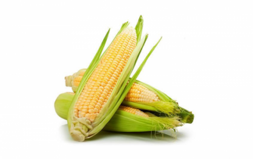 Царевица | Corn – състав, калории, рецепти и приложение в диетите