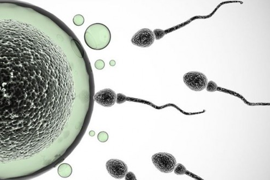 Фитнес тренировки при лоша спермограма (при доказани биотични причини) | Мъже