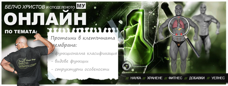 Функция и структура на протеините в клетъчната мембрана | Цитология