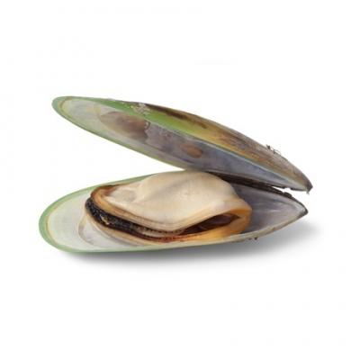 Зеленоуста мида | Perna canaliculus – Състав, калории, суплементиране и приложение