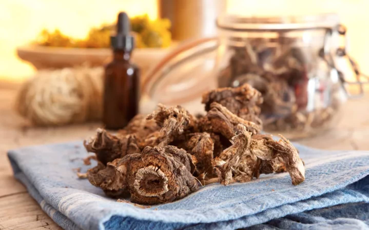 Адаптогени – описание, действие, ползи и прием (приложение ...