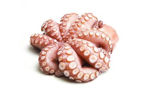 Октопод | Octopus – състав, калории, рецепти и приложение в диетите