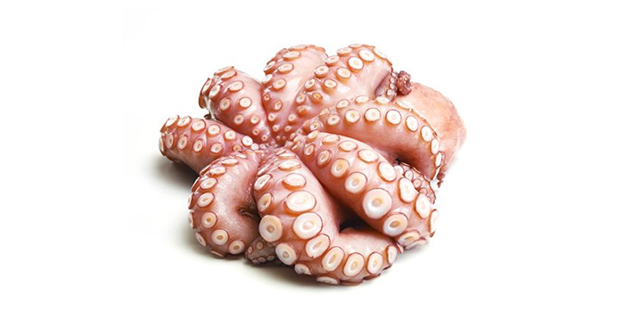 Октопод | Octopus – състав, калории, рецепти и приложение в диетите