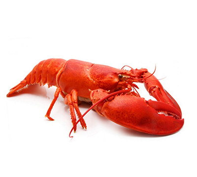 Омар | Lobster – състав, калории, рецепти и приложение в диетите