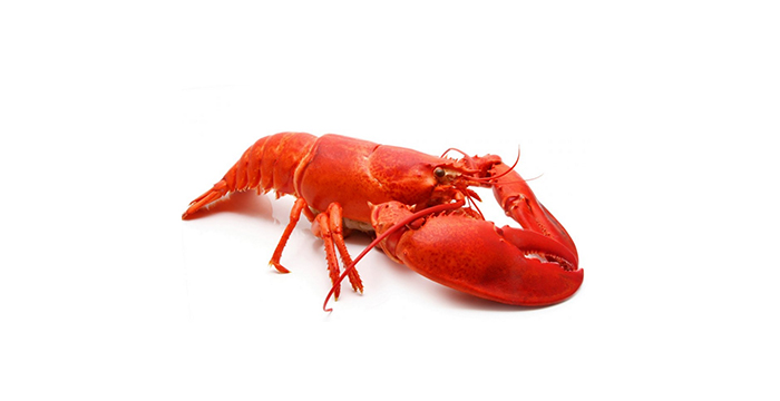 Омар | Lobster – състав, калории, рецепти и приложение в диетите
