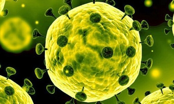 Какво е Коронавирус?