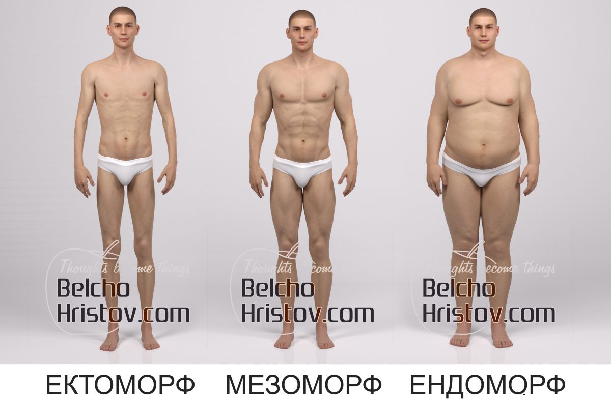 tipove_tialo_ectomorf_endomorf_mezomorf_2