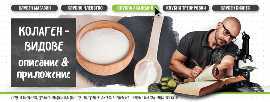 Видове колаген. Колаген тип I, II, III и IV – описание и приложение