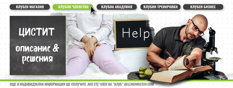 Уелнес и лечение: цистит