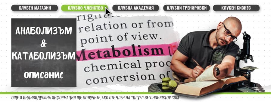Как да ускорим метаболизма си?