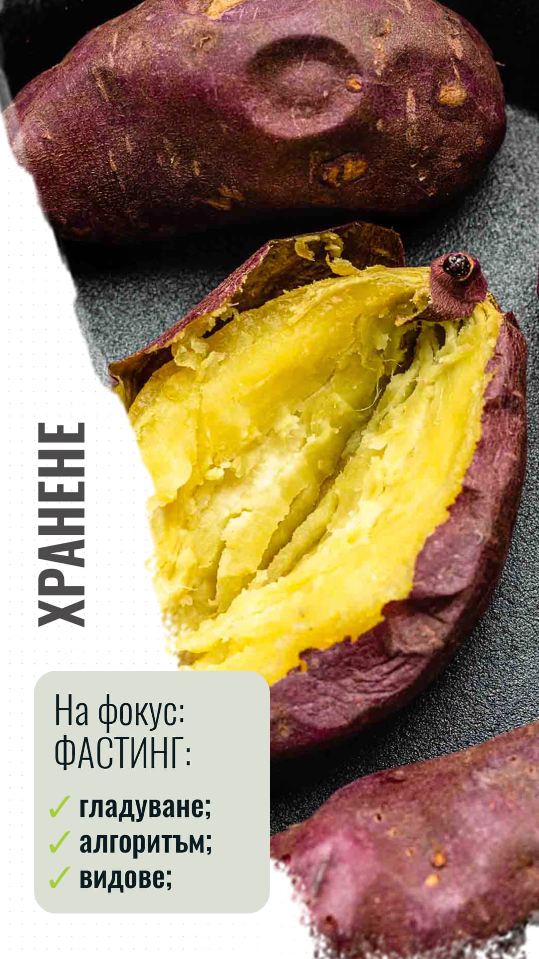 СТАТИЯ