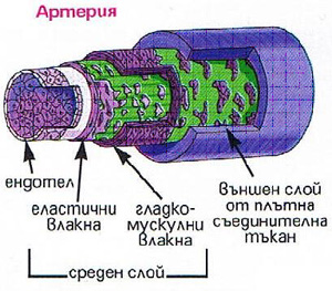 belchohristovcom_1002