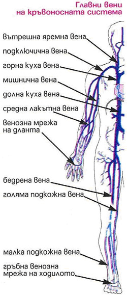 belchohristovcom_1005